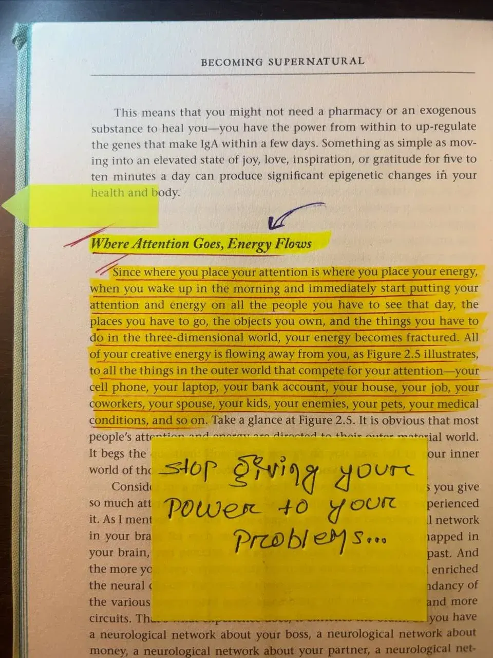 Portrait photo of an open book page discussing self-healing and focusing attention, used as a generic hero image for a socialism and democracy critique