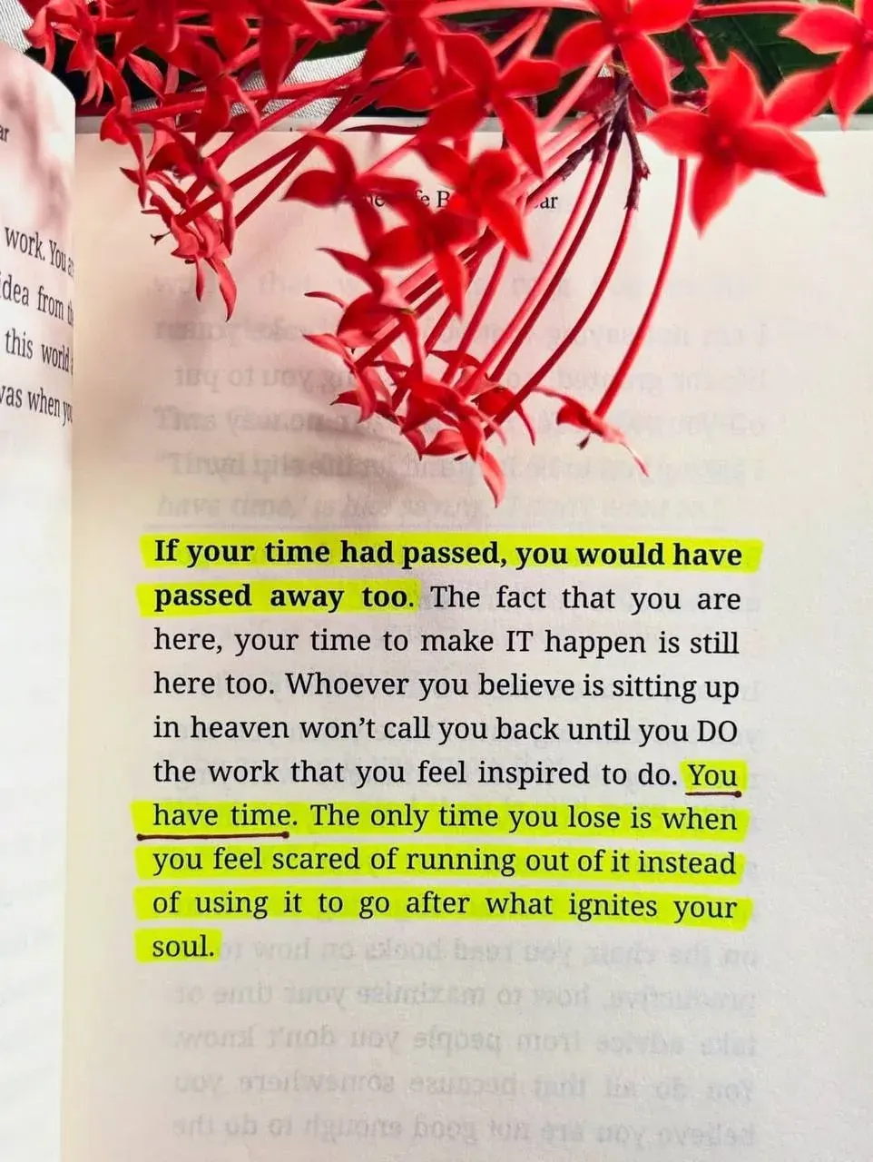 Portrait photo with motivational quote about having time to do the work that inspires you before your time has passed